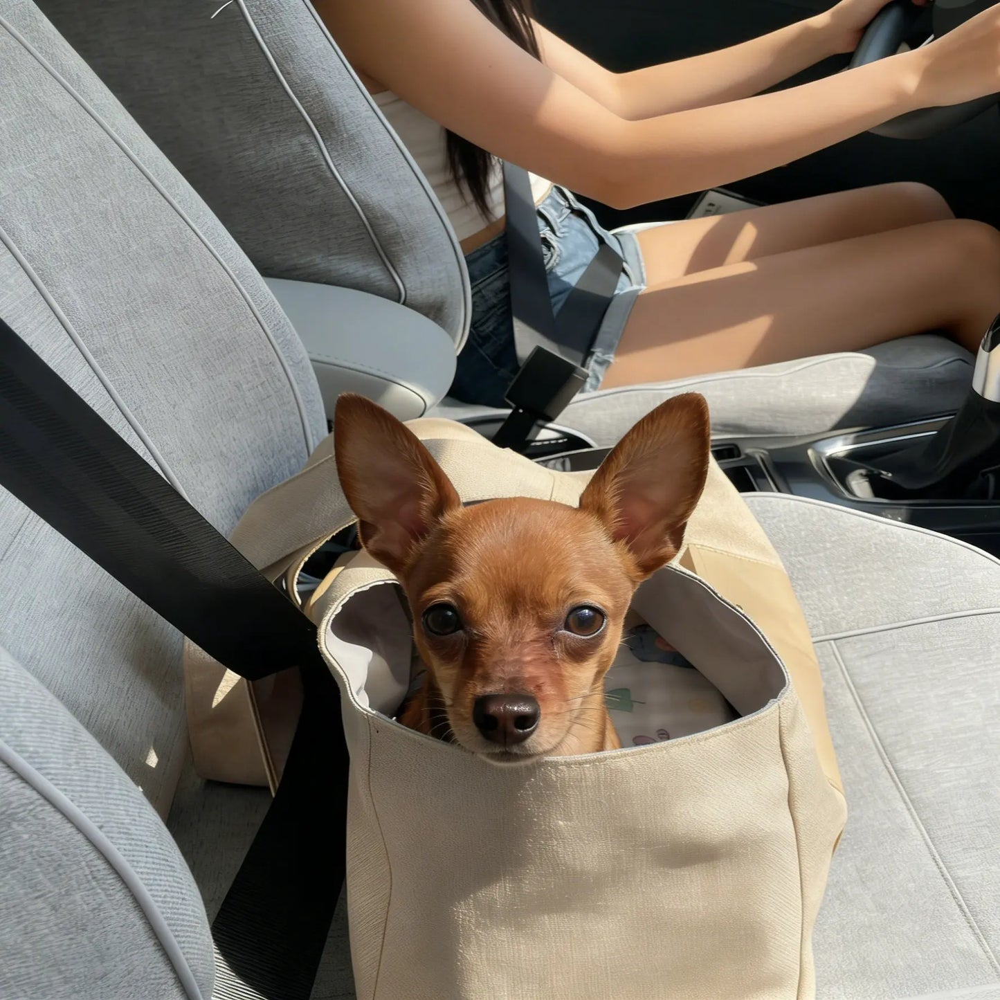 Pet Travel Tote Carrier for Small Dogs & Cats | Breathable Cooling Shoulder Bag — Portable Handheld Car Seat Carrier for Outdoor Use