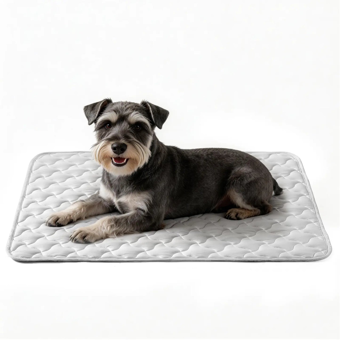 MIXJOY Pet Cooling Mat | Q-Max 0.5+ Instant Chill, Anti-Slip, Machine Washable — 4 Sizes for Dogs & Cats, Indoor, Outdoor & Travel Use