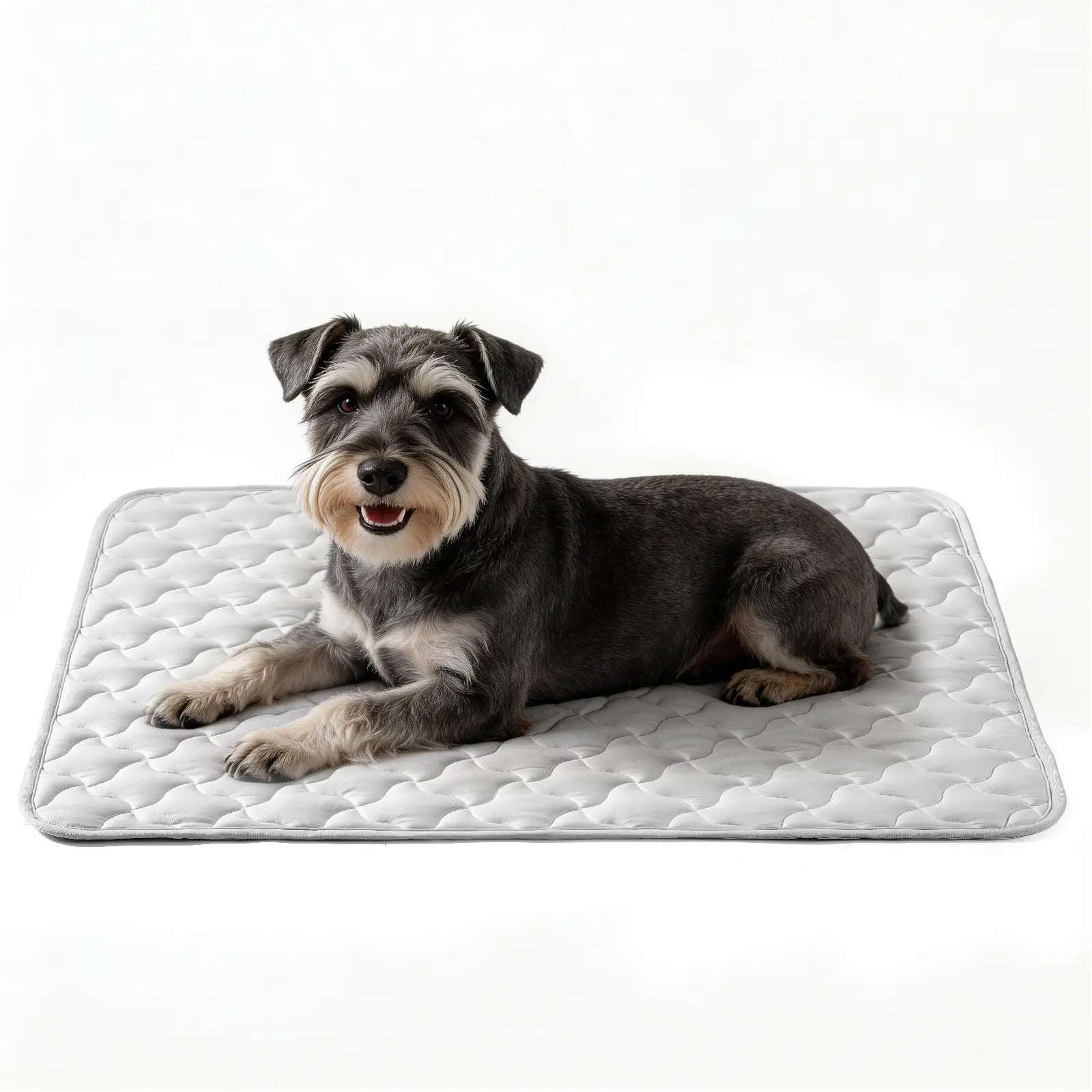MIXJOY Pet Cooling Mat | Q-Max 0.5+ Instant Chill, Anti-Slip, Machine Washable — 4 Sizes for Dogs & Cats, Indoor, Outdoor & Travel Use